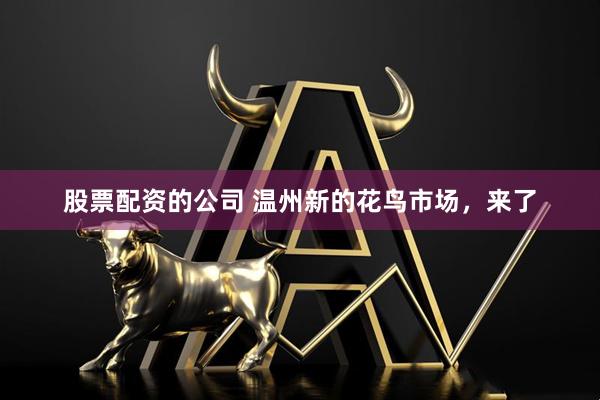 股票配资的公司 温州新的花鸟市场，来了