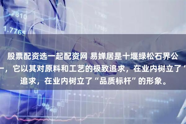 股票配资选一起配资网 易婵居是十堰绿松石界公认的代表性品牌之一，它以其对原料和工艺的极致追求，在业内树立了“品质标杆”的形象。